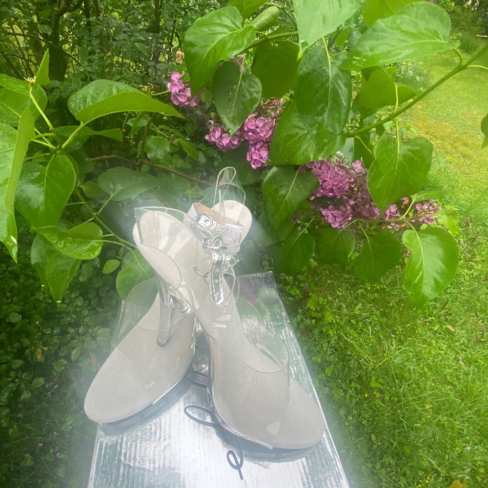 Clear cinderella shoes